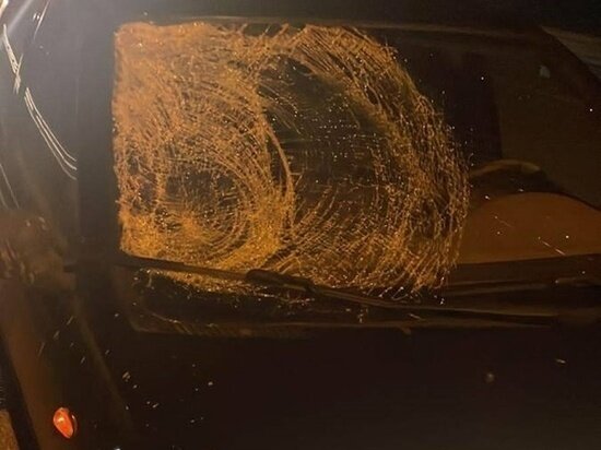     Фото: УГИБДД