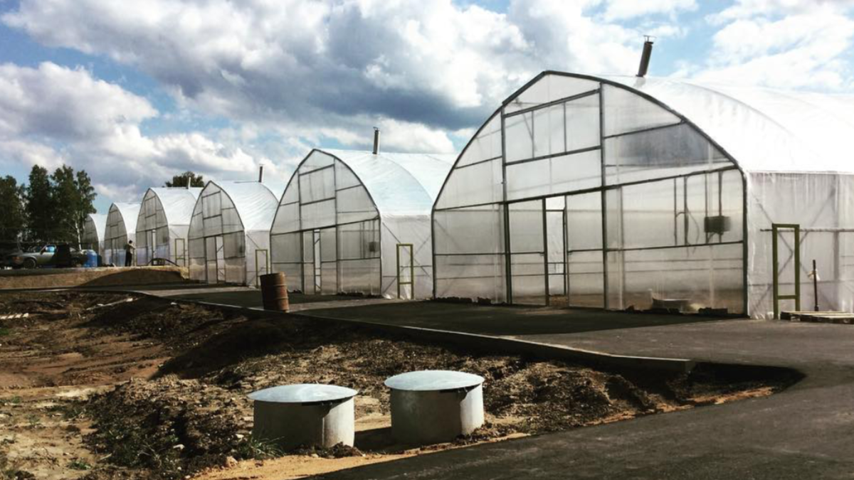 Газифицированные теплицы