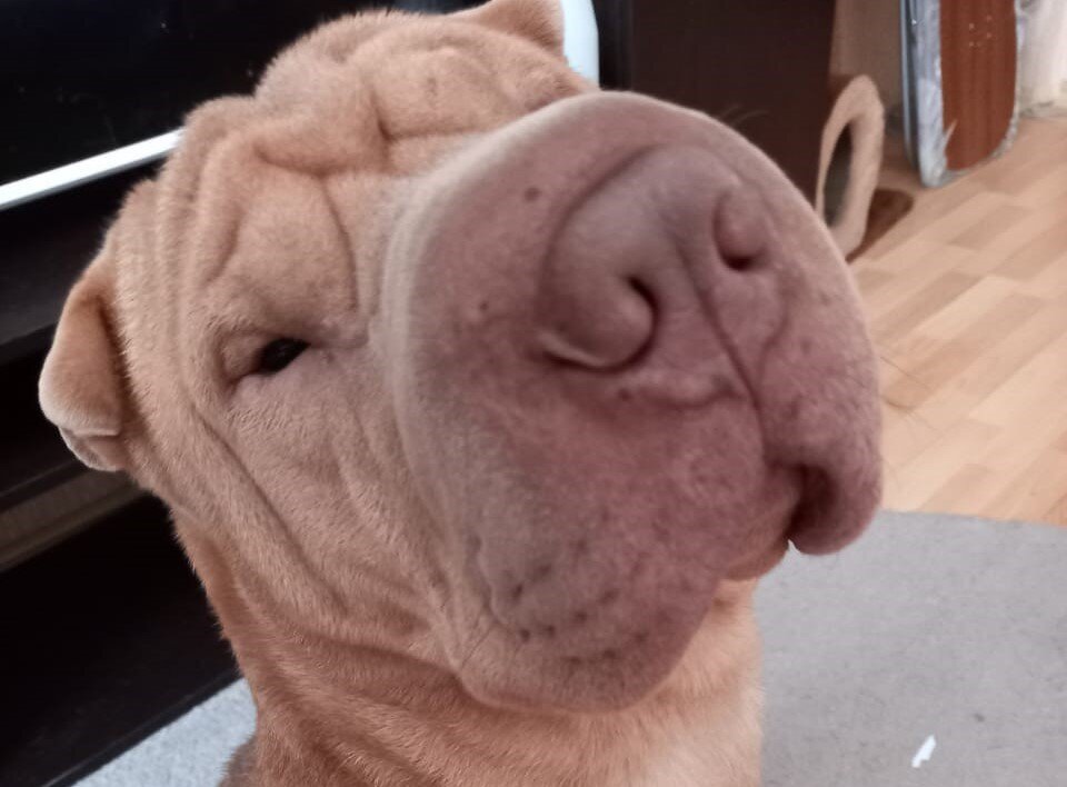 Умный и ужасно красивый