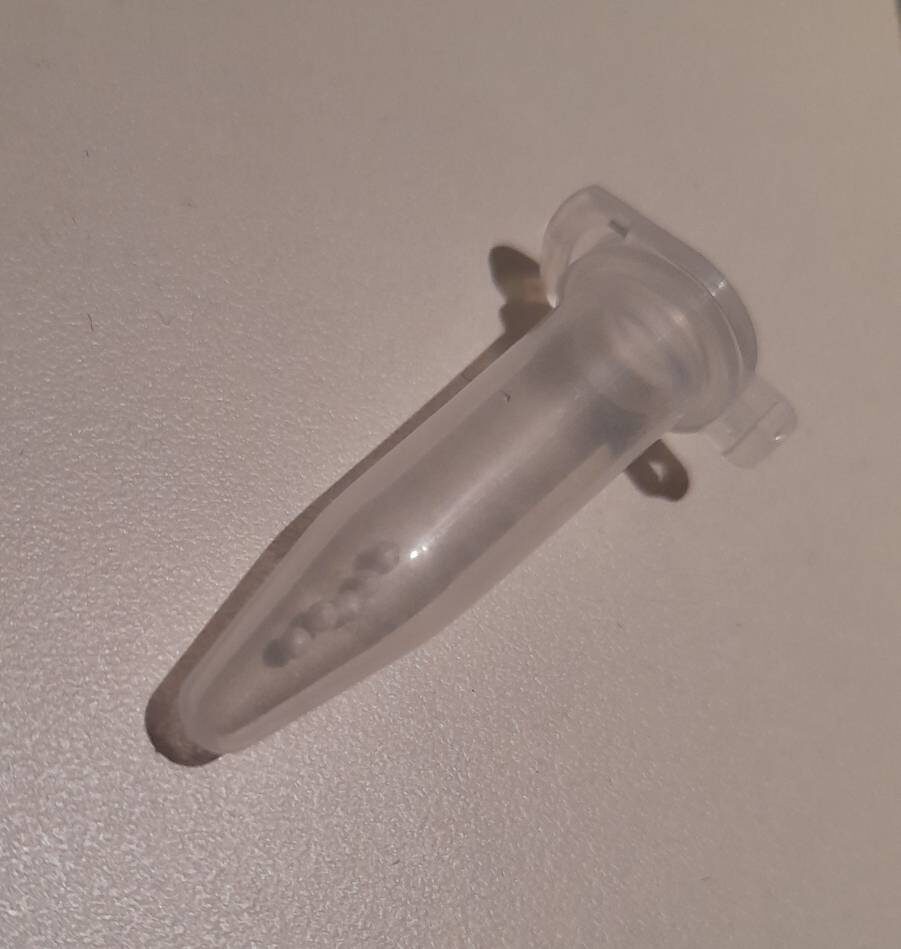 ампула с семенами петунии