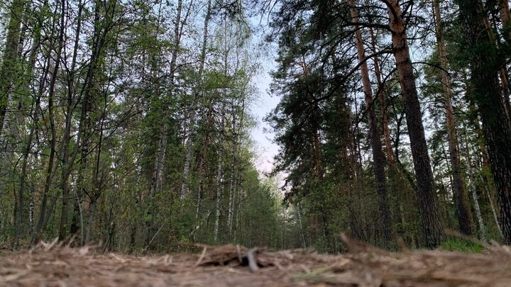 ФОТО: ЦАРЬГРАД.