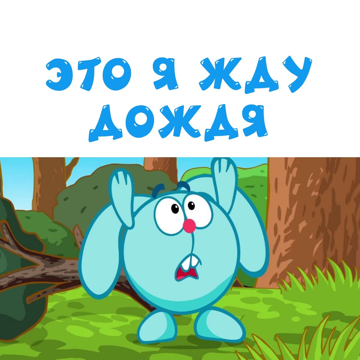 Мем смешарики бунт