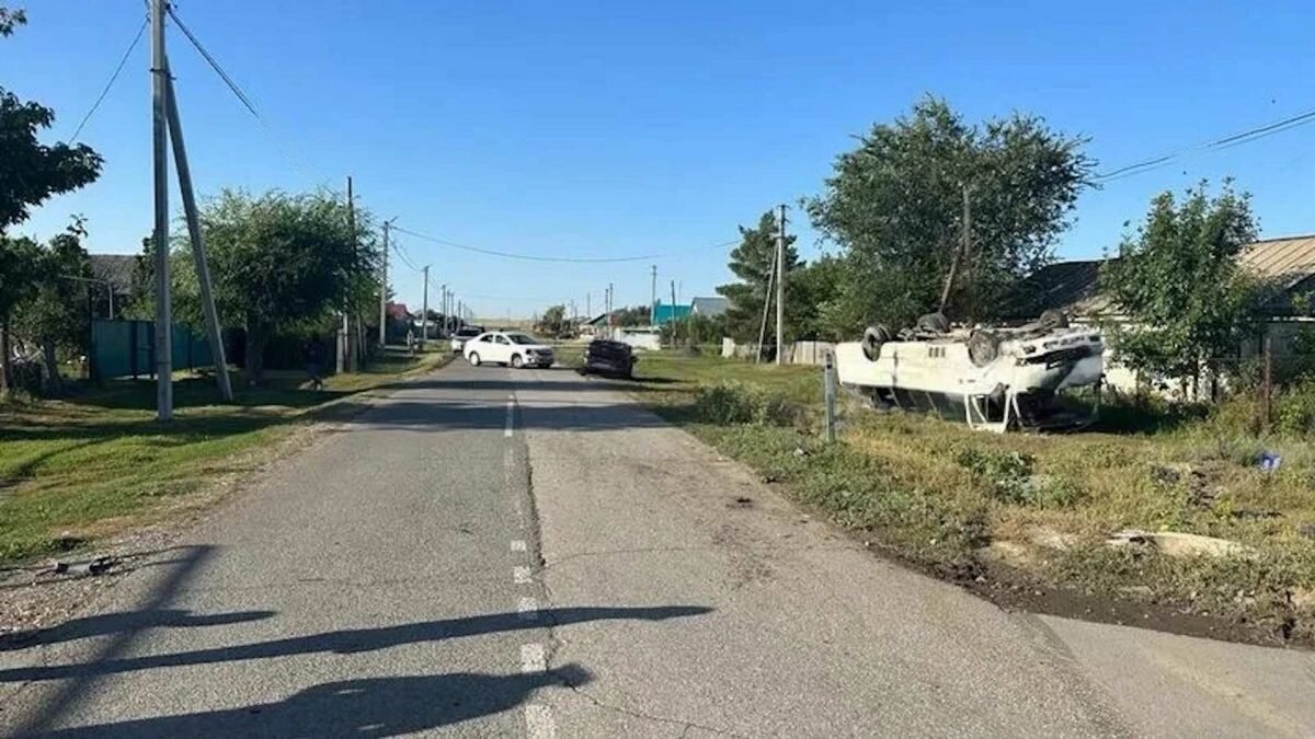    Фото: Мой Город Август Макаров