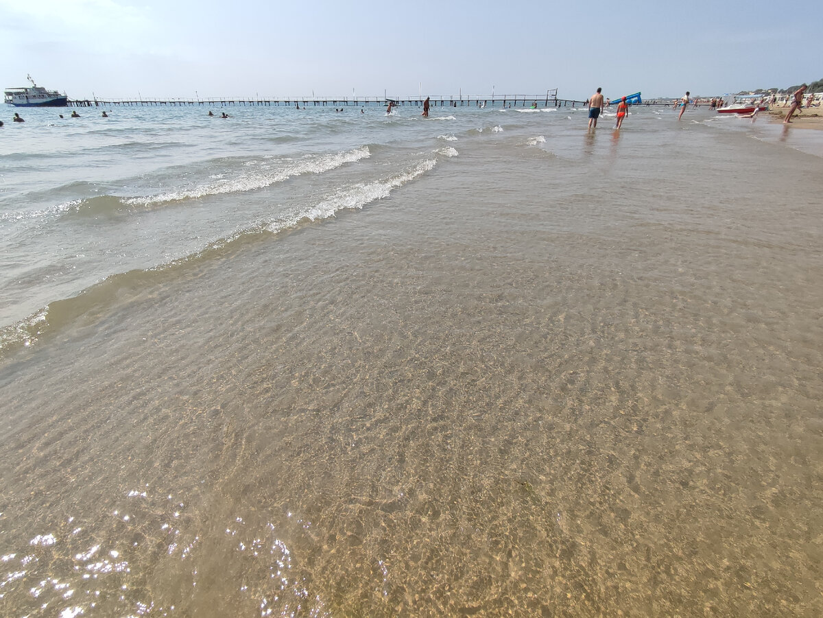 Джемете пляж. Джемете в сентябре. Зелёное море в Джемете. Анапа водоросли на пляже 2023.