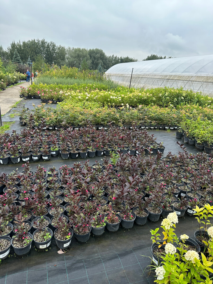 Все как мне нравится: много удобно размещенных растений и мало посетителей.