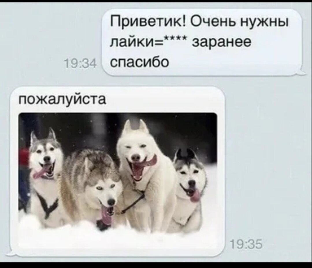 Песня энкея лайки. Шутки про лайки в соц сетях. Приколы про лайки. Нужны лайки. Шутки про лайки.