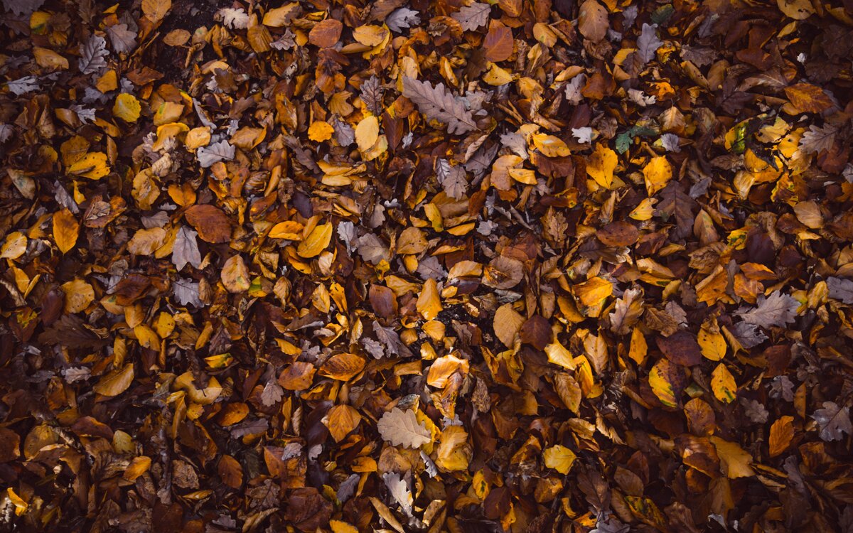 Photo by Antonio Grosz on Unsplash