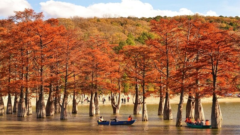Кипарисовое озеро в поселке Сукко