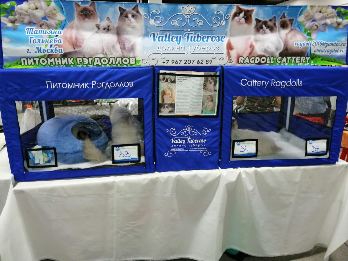 Наша новая фирменная палатка с вышивкой и нашим логотипом.