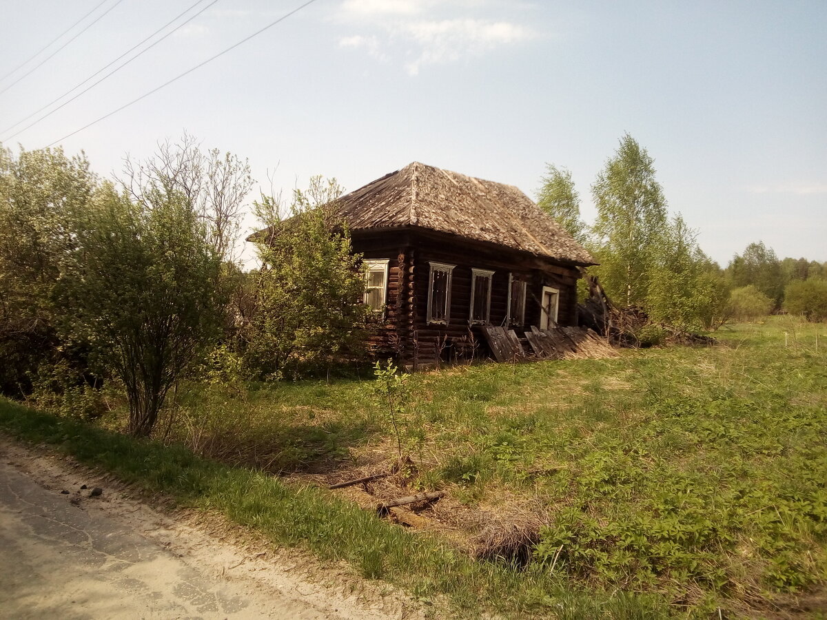 Проклятая деревня. Деревня Родина Псковская область. Российская деревня. Деревня Родина Нижегородская область. Проклятые деревни.