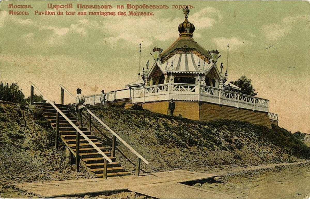 Вид с Воробьёвых гор