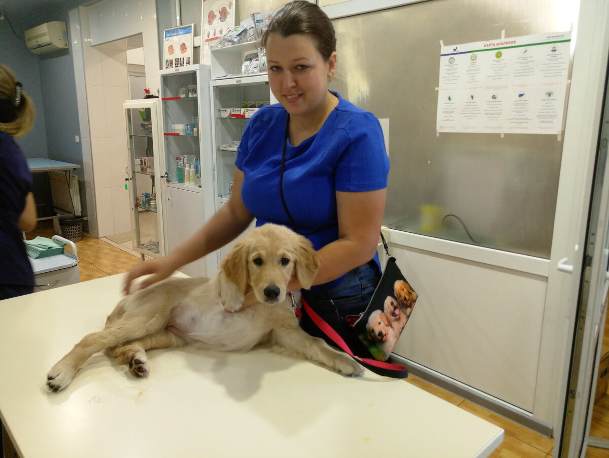 Алёна и Ляля