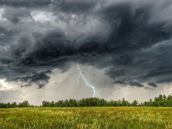 фото: 1tulatv.ru 