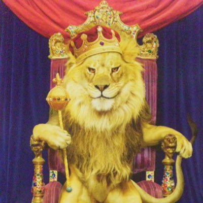 (фото взято с открытого доступа в интернете)