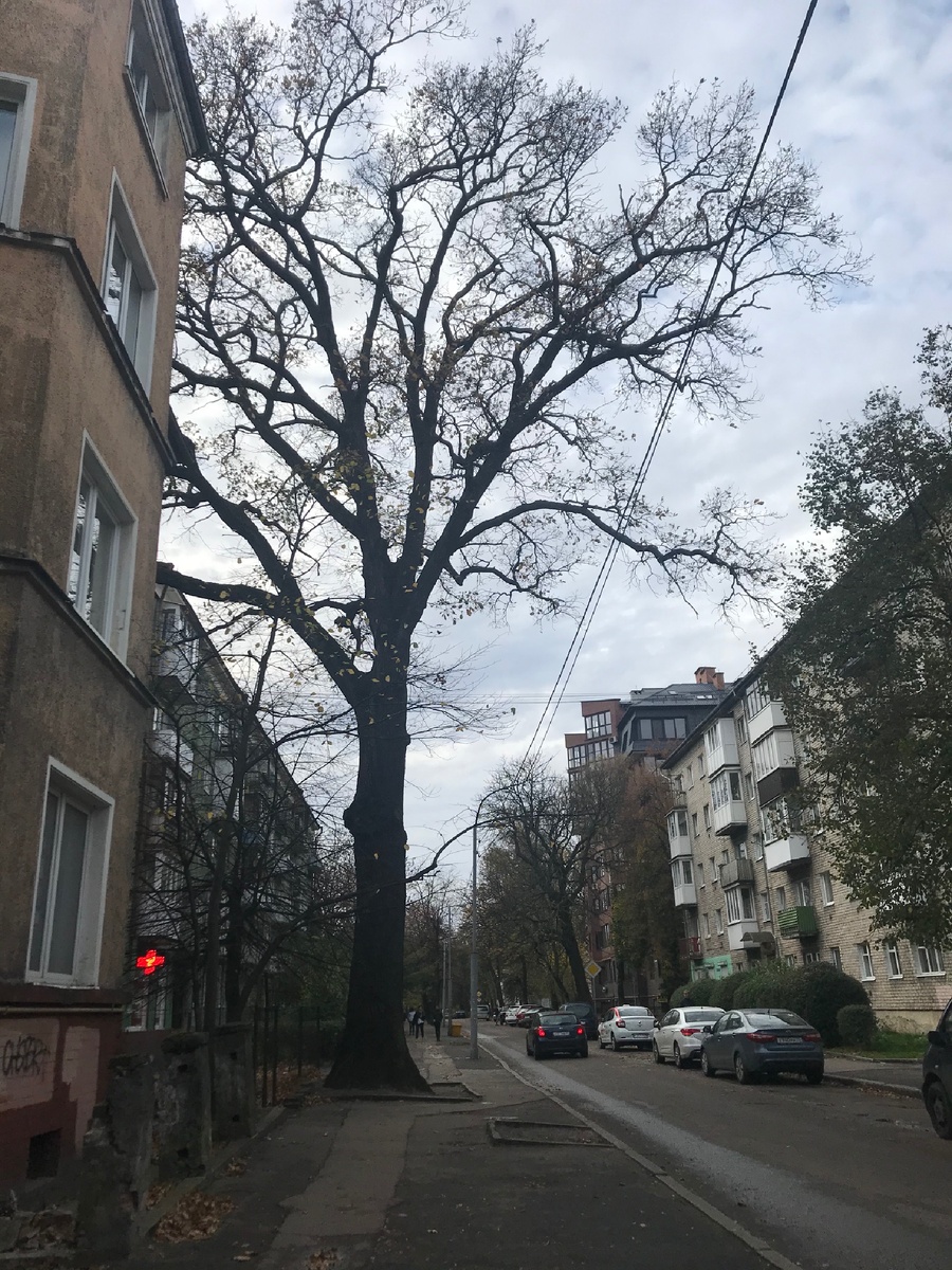 Это улица Чайковского, здесь жил мой отец, вот в этой пятиэтажке справа.