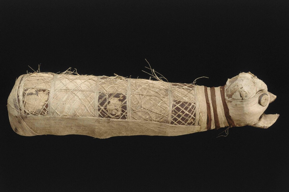 Гренландские мумии квилакитсок