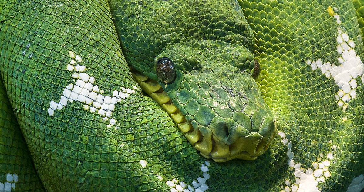 Источник DataQuest