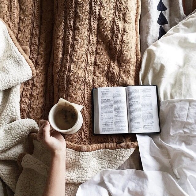 Фото из интернета.