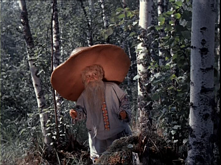 Фото: Яндекс.Картинки Старичок-боровичок