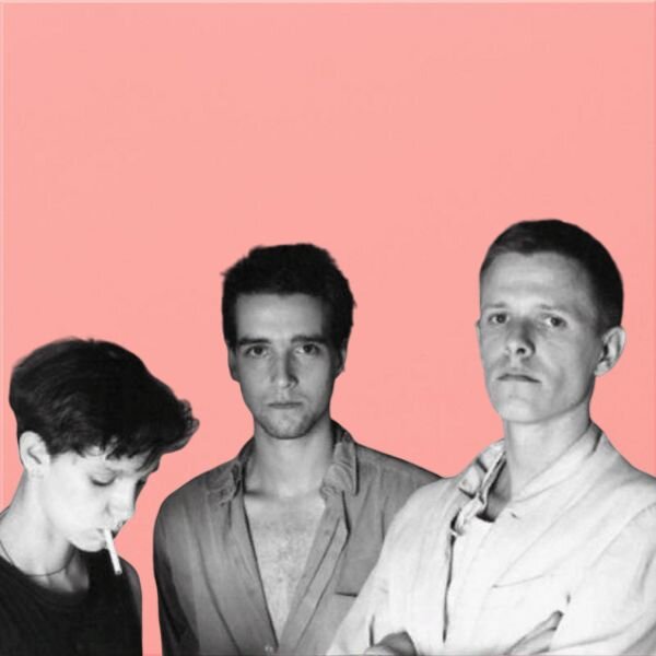 The Swans (1981 год)