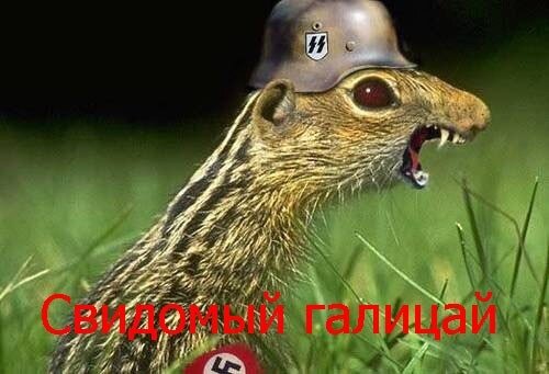 № фото с инета 