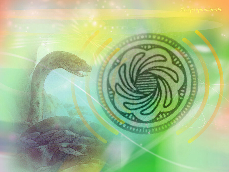 Коллаж Нины Стрелковой.