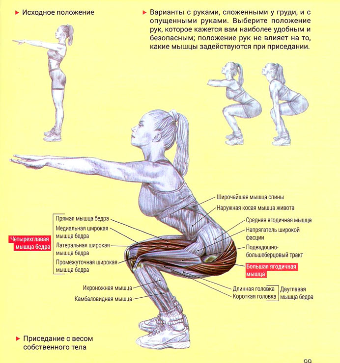 Изображение: sportguardian.ru