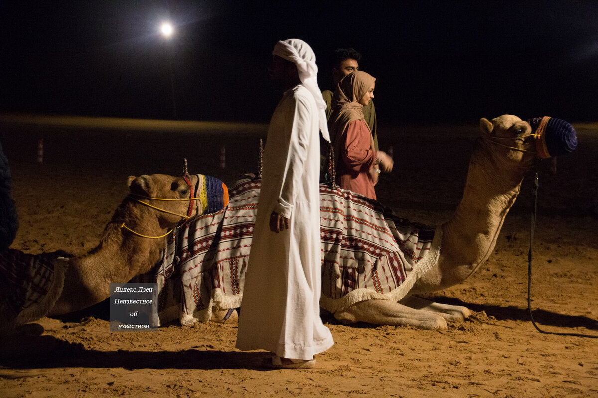 Отбить вонь от верблюда или на память о женщине? Для чего арабам галстук