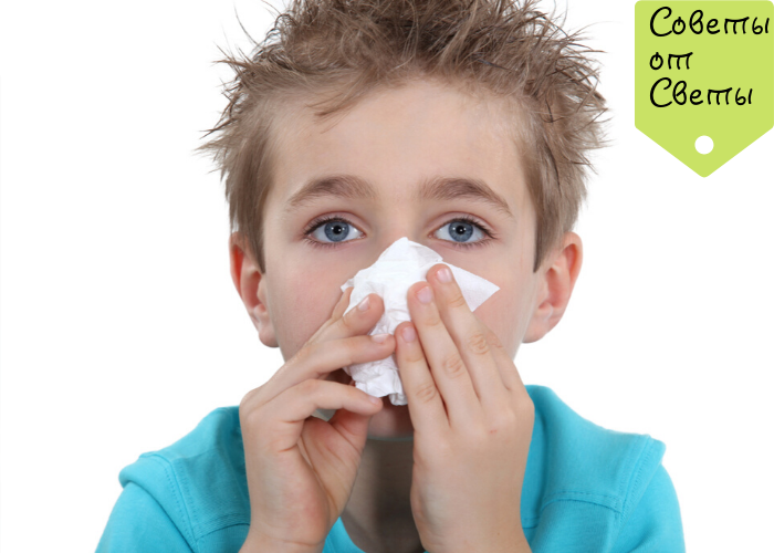 Фото из открытых источников интернета