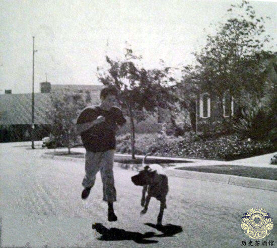 На фотографии Брюс Ли бегает со своим догом. Брюс считал, что бег-отличный способ тренировать как выносливость, так и взрывную силу.