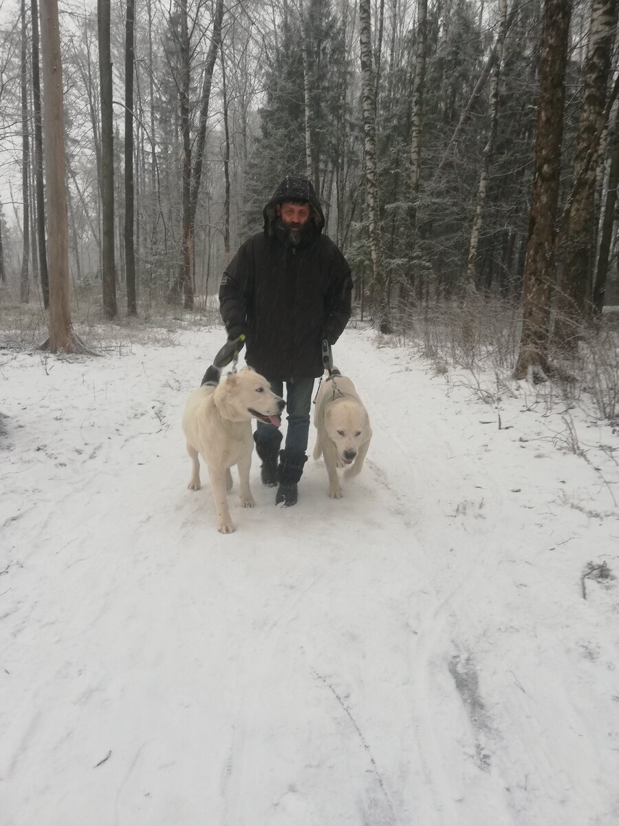 Нашпапа со Скифом и Одри