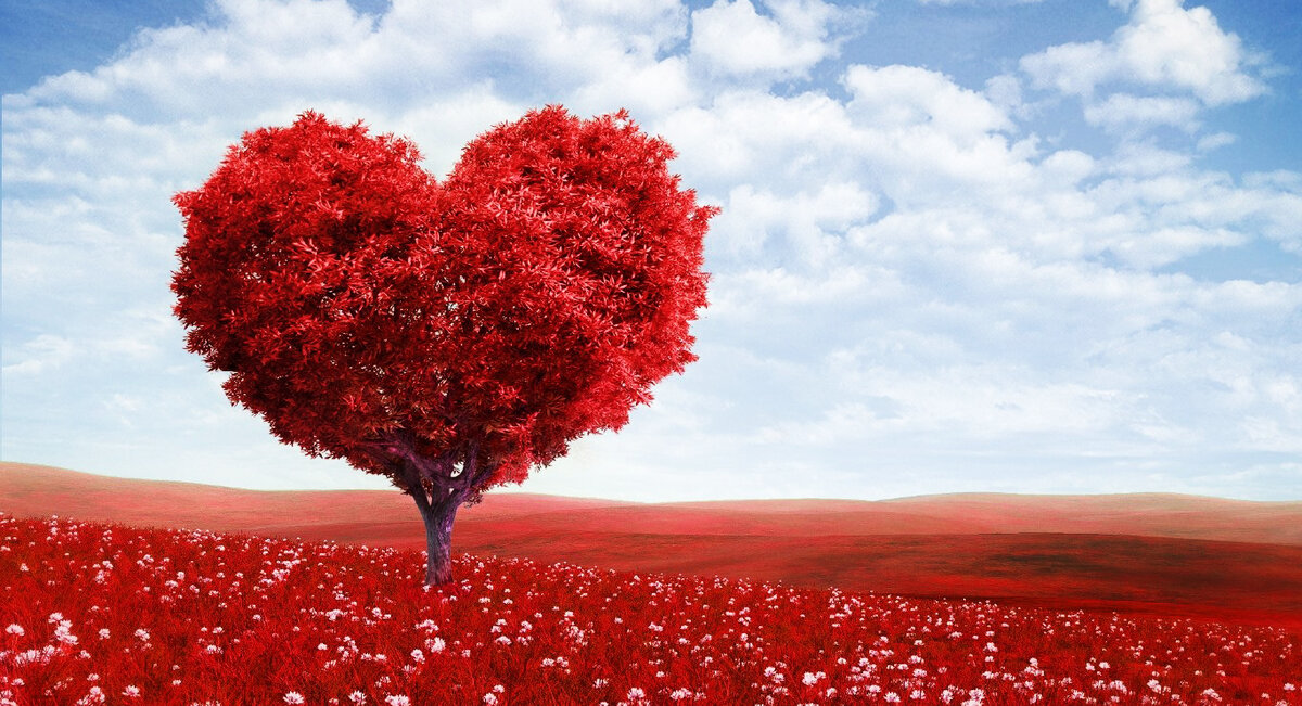 Привет, читатель.