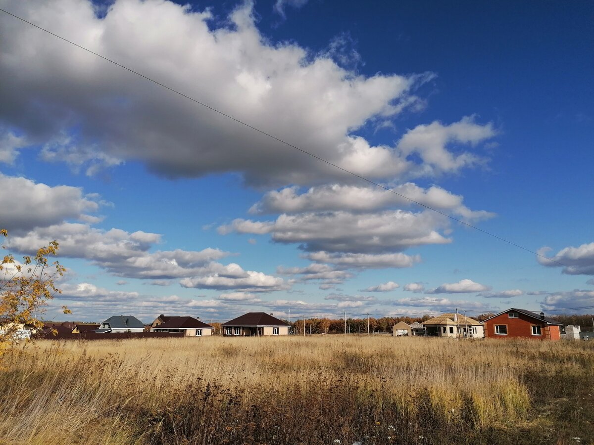 Село Большая Кузьминка - вид на деревню