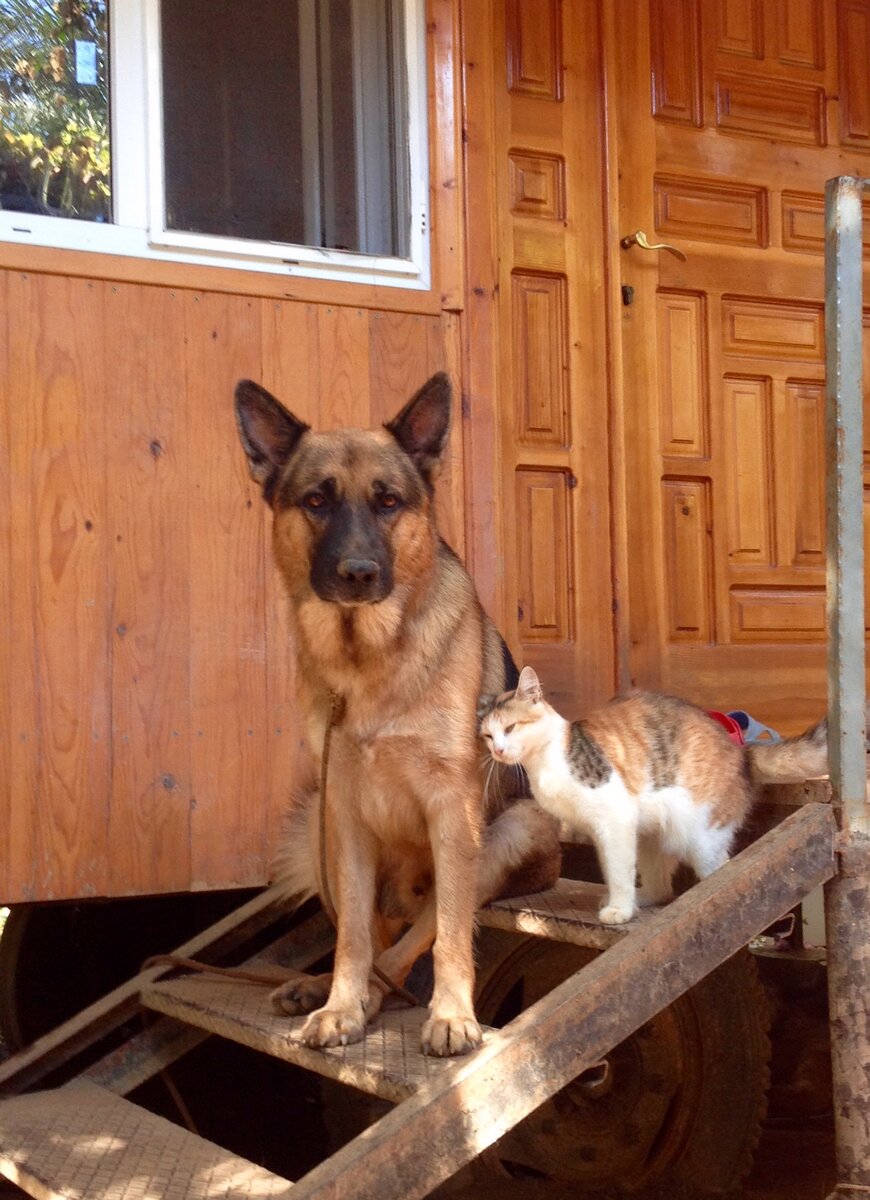 Авторское фото.