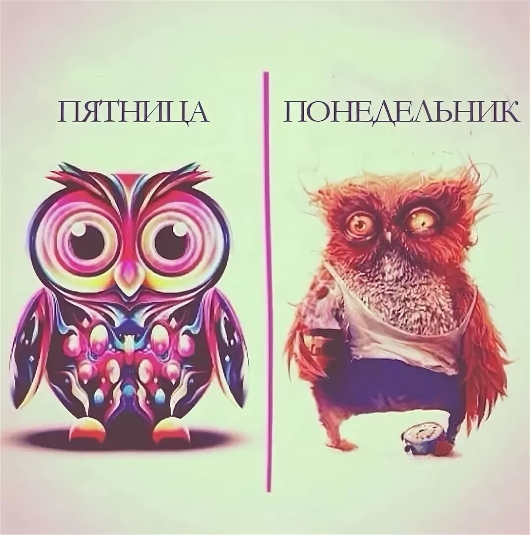 Яндекс.Картинки