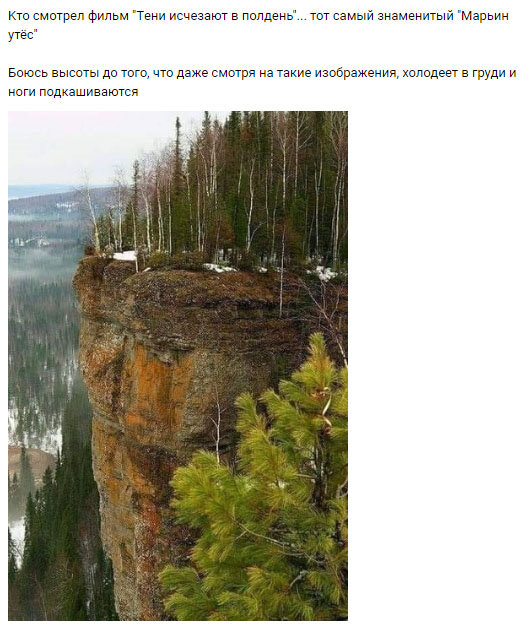 Из сети vk.com