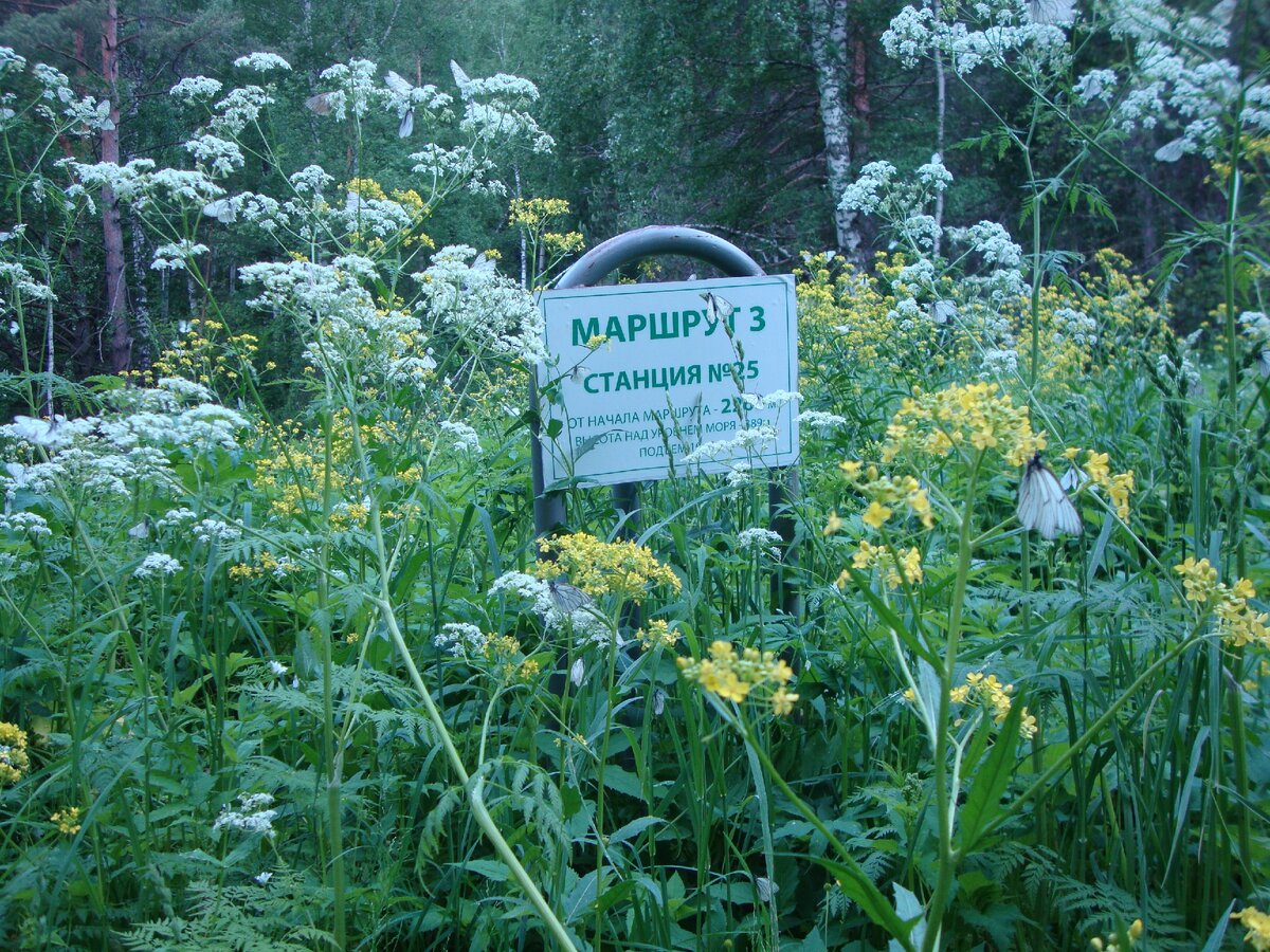 Таблички на маршруте с указанием высоты и пройденного расстояния