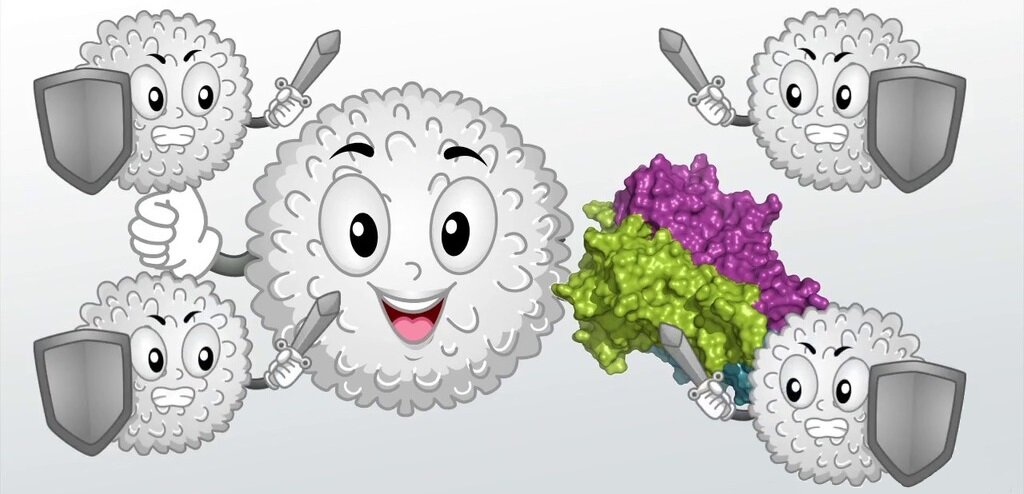 Милый имунитет