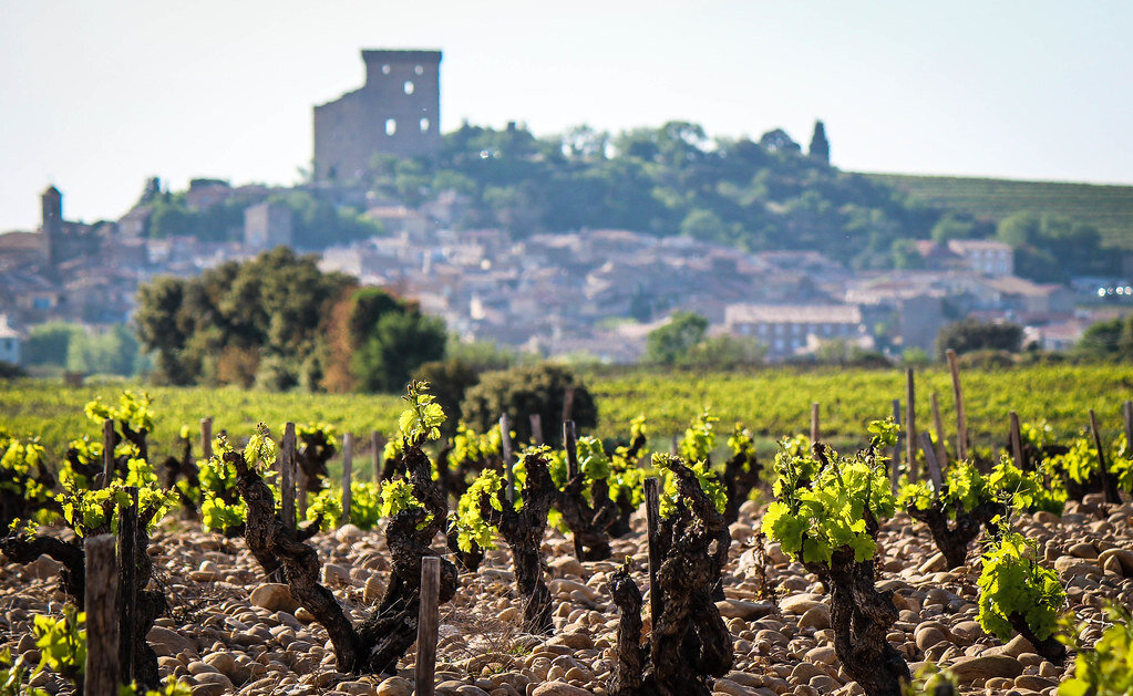 Виноградники Chateauneuf-du-Pape
