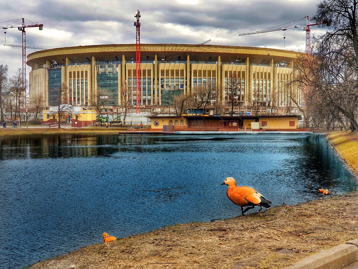 Картинка для привлечения внимания. Москва, Екатерининские пруды