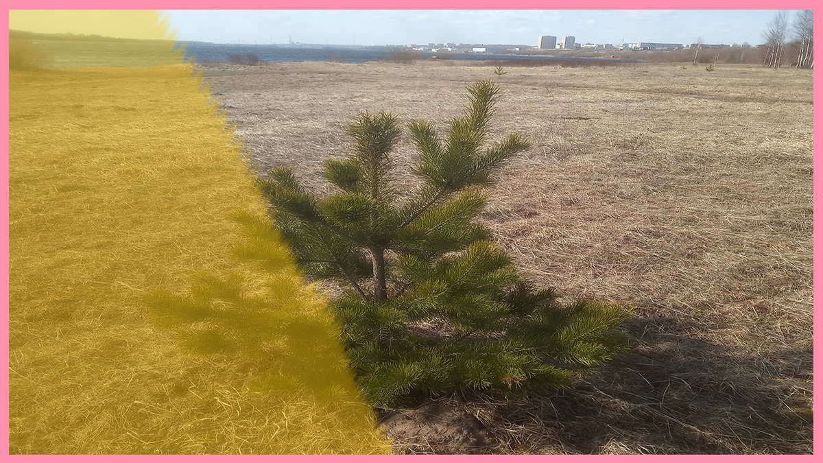 ВИД НА РЕКУ