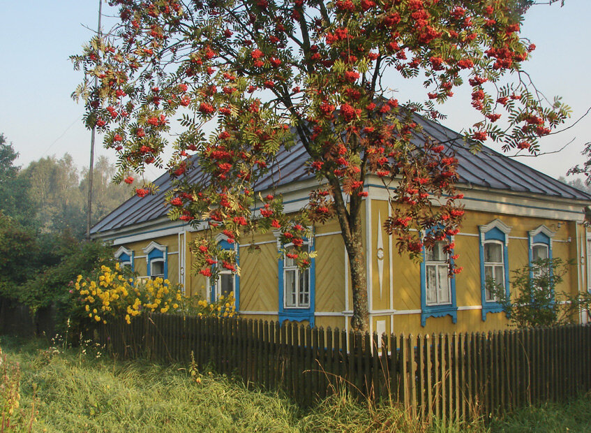 Сервис Яндекс.Картинки 