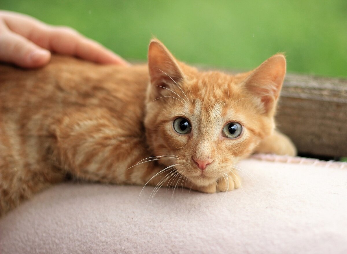 Фото из личного архива