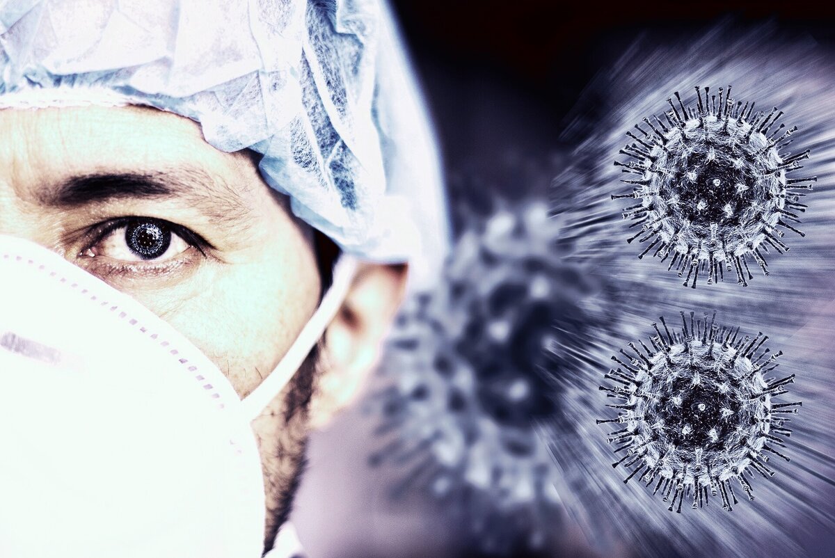 Фото из свободных источников 