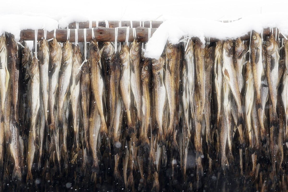 фото с сайта pixabay