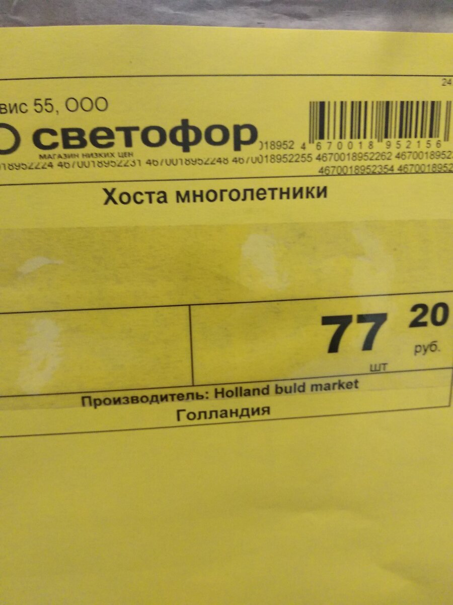 ценник на хосты