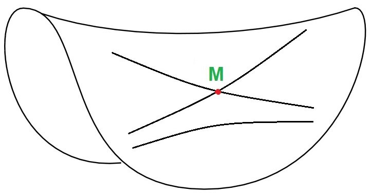 Могут ли пересекаться параллельные прямые? | Мир знаний | Дзен