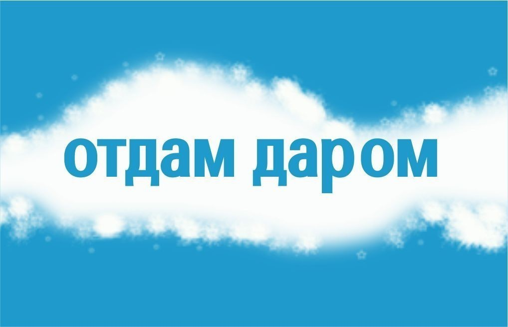 Отдам даром. Отдам даром надпись. Отдам даром картинки. Группа отдам даром.