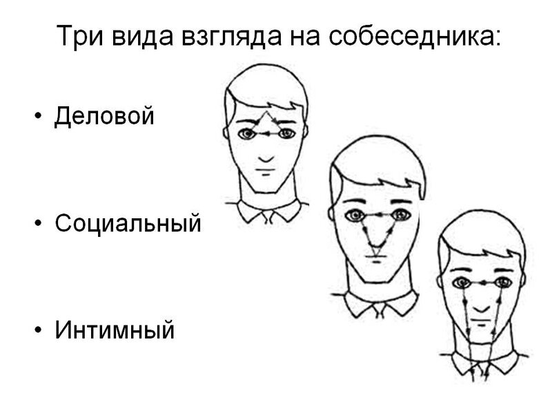 Виды взглядов. Взгляд невербальное общение. Типология взглядов. Виды взглядов деловой.