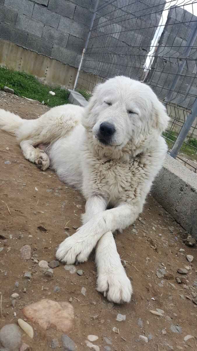 ГФото из личного архива